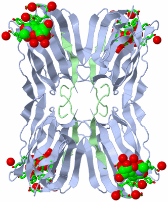 Image Biol. Unit 1 - sites