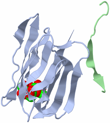 Image Biological Unit 3