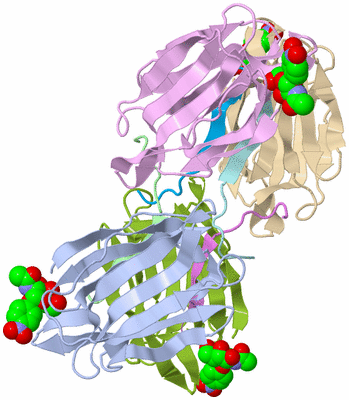 Image Biological Unit 1