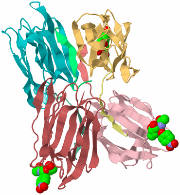 Image Biological Unit 2