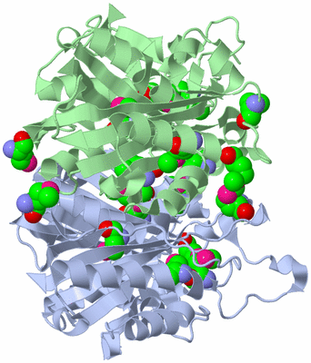 Image Asym./Biol. Unit