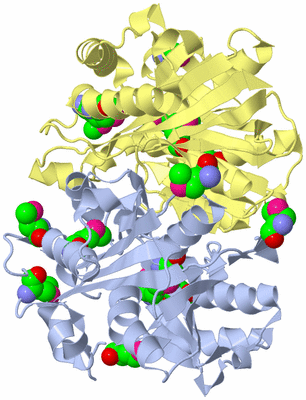 Image Biological Unit 1