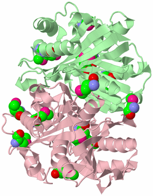 Image Biological Unit 2