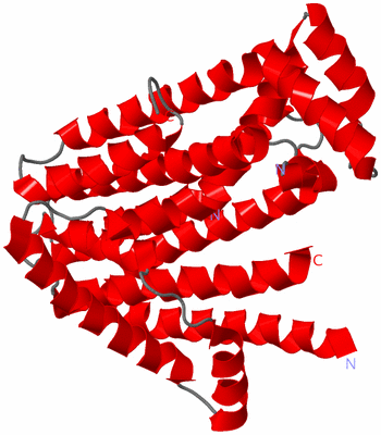 Image Asymmetric Unit