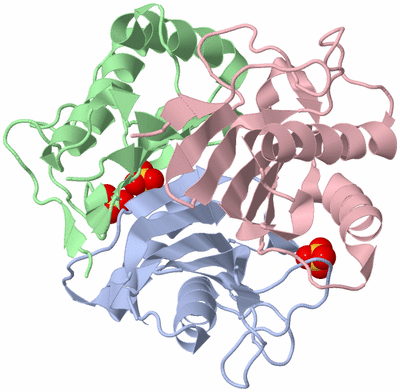 Image Biological Unit 1