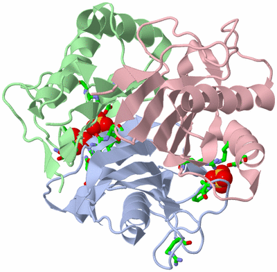 Image Biol. Unit 1 - sites