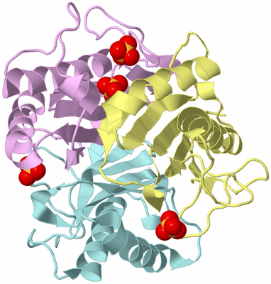 Image Biological Unit 2