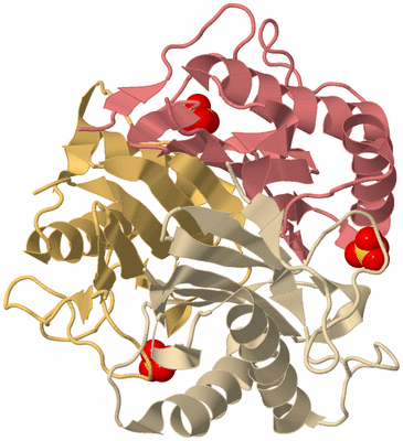 Image Biological Unit 3