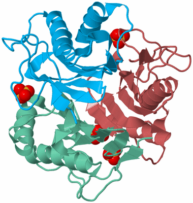 Image Biological Unit 4