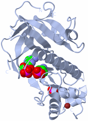 Image Biological Unit 1