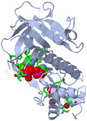 Image Biol. Unit 1 - sites