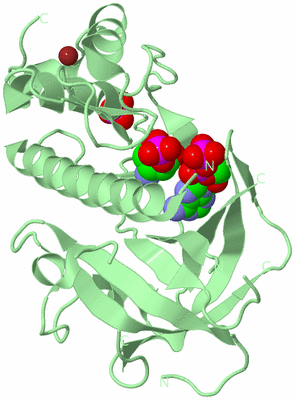 Image Biological Unit 2