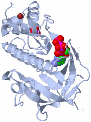 Image Biological Unit 1