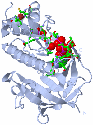 Image Biol. Unit 1 - sites