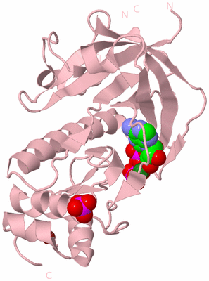 Image Biological Unit 3