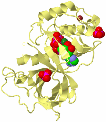 Image Biological Unit 4