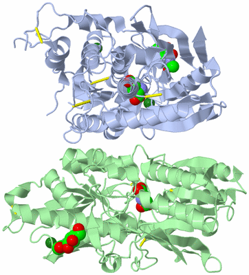 Image Asym./Biol. Unit