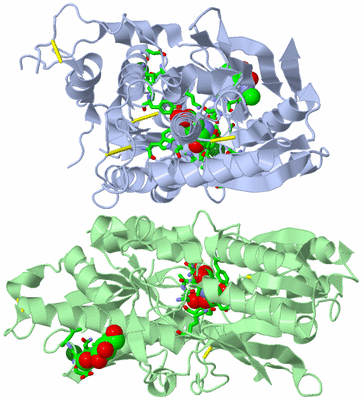 Image Asym./Biol. Unit - sites