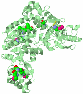 Image Biological Unit 2