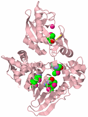 Image Biological Unit 3