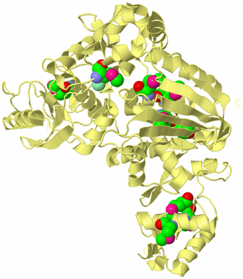 Image Biological Unit 4