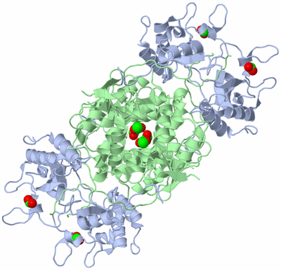 Image Biological Unit 1