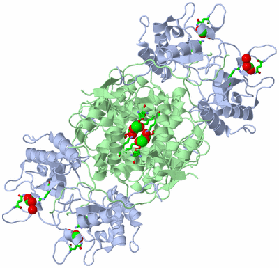 Image Biol. Unit 1 - sites