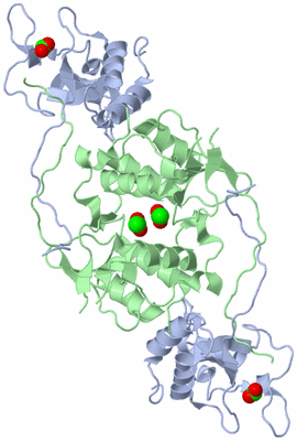 Image Biological Unit 2