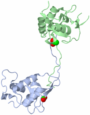 Image Biological Unit 3