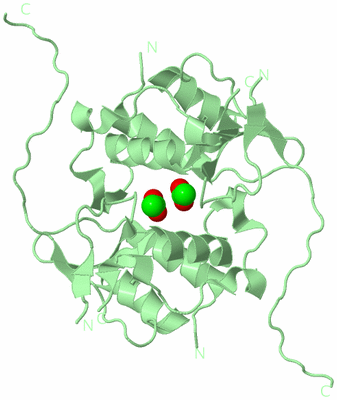 Image Biological Unit 4