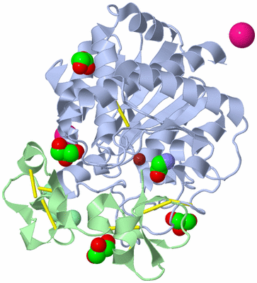 Image Asym./Biol. Unit