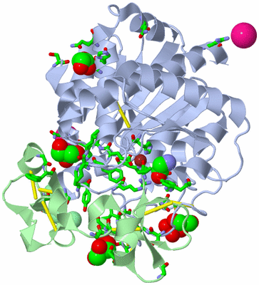 Image Asym./Biol. Unit - sites