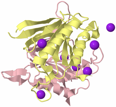 Image Biological Unit 2