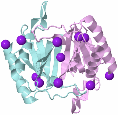 Image Biological Unit 3