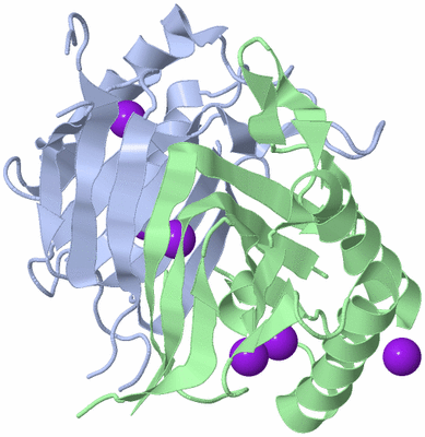 Image Biological Unit 1