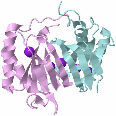 Image Biological Unit 3