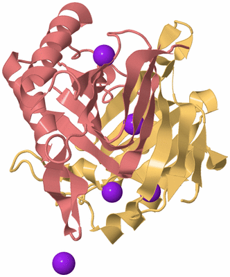 Image Biological Unit 4