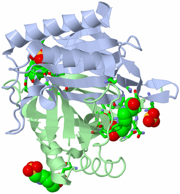 Image Biol. Unit 1 - sites