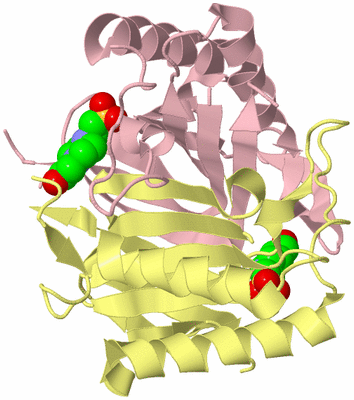 Image Biological Unit 2