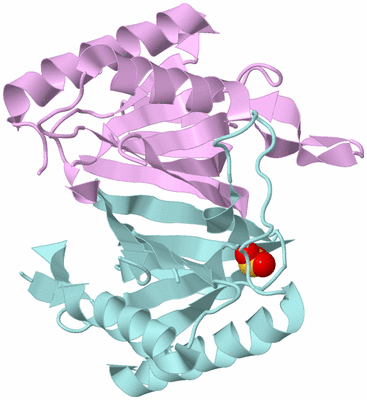 Image Biological Unit 3