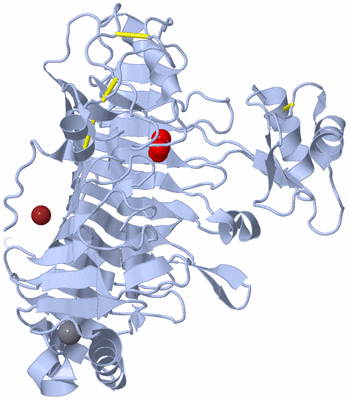 Image Biological Unit 1