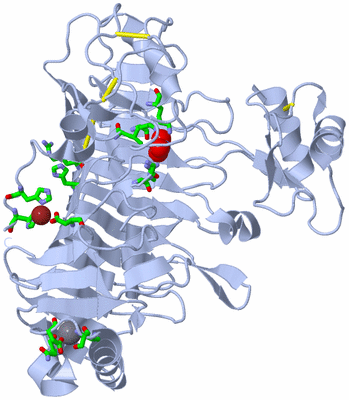 Image Biol. Unit 1 - sites