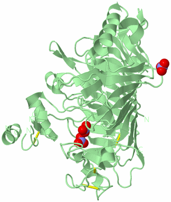 Image Biological Unit 2