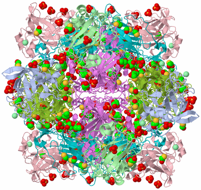 Image Biological Unit 1