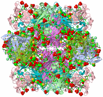 Image Biol. Unit 1 - sites