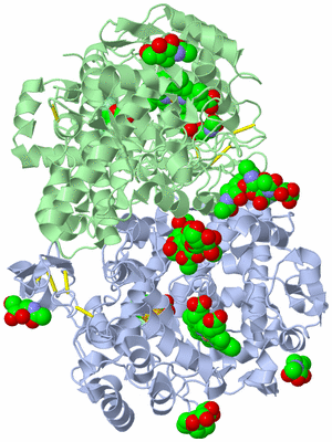 Image Biological Unit 1