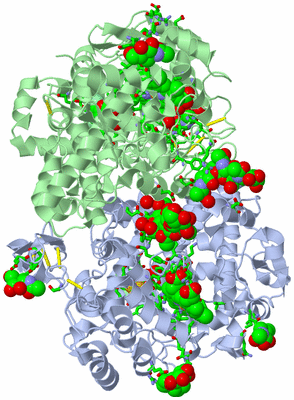 Image Biol. Unit 1 - sites