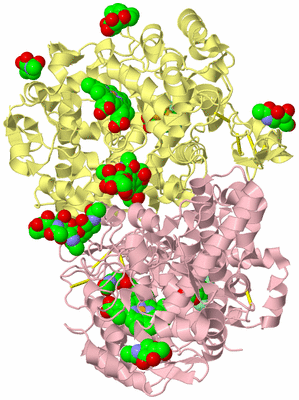 Image Biological Unit 2