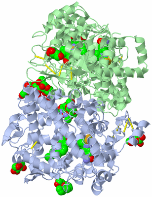 Image Biological Unit 1