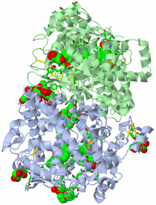 Image Biol. Unit 1 - sites